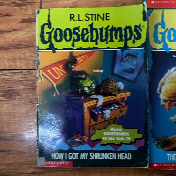 RL Stine, goosebumps books lot of 10 ￼ - Picture 6 of 13